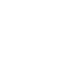 ce logo American Fork